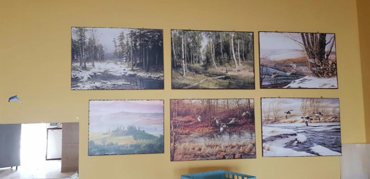 Leyla Hostel Braşov Buitenkant foto