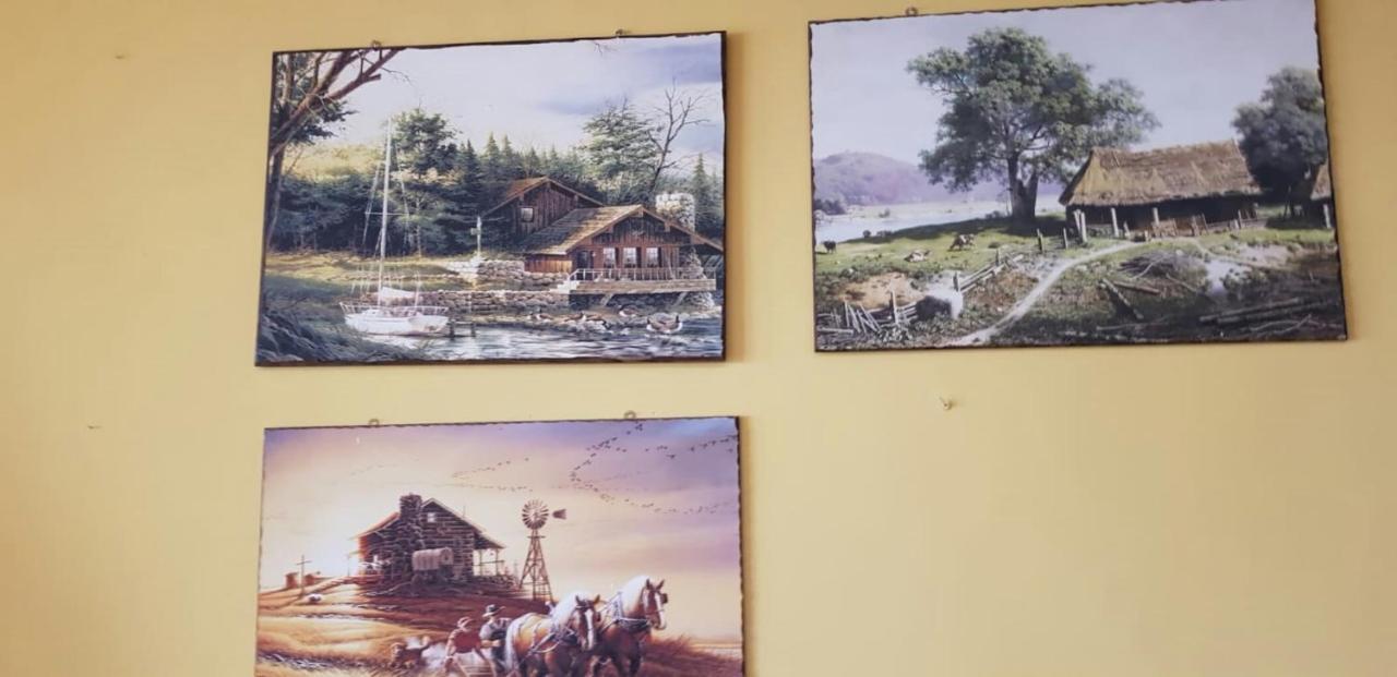 Leyla Hostel Braşov Buitenkant foto