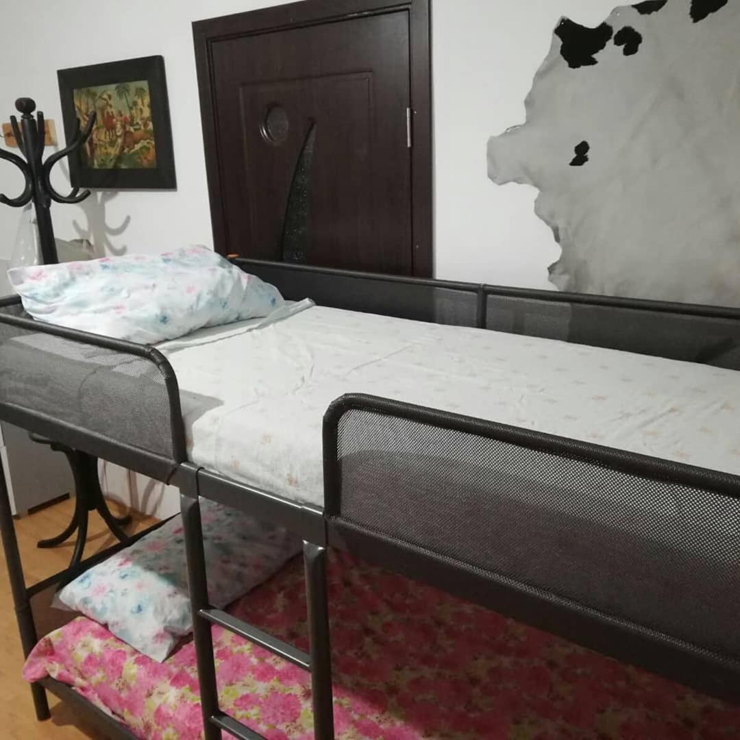 Leyla Hostel Braşov Buitenkant foto