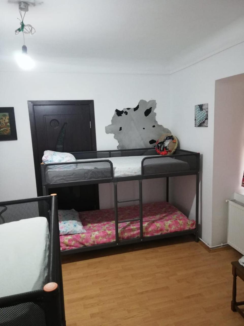 Leyla Hostel Braşov Buitenkant foto