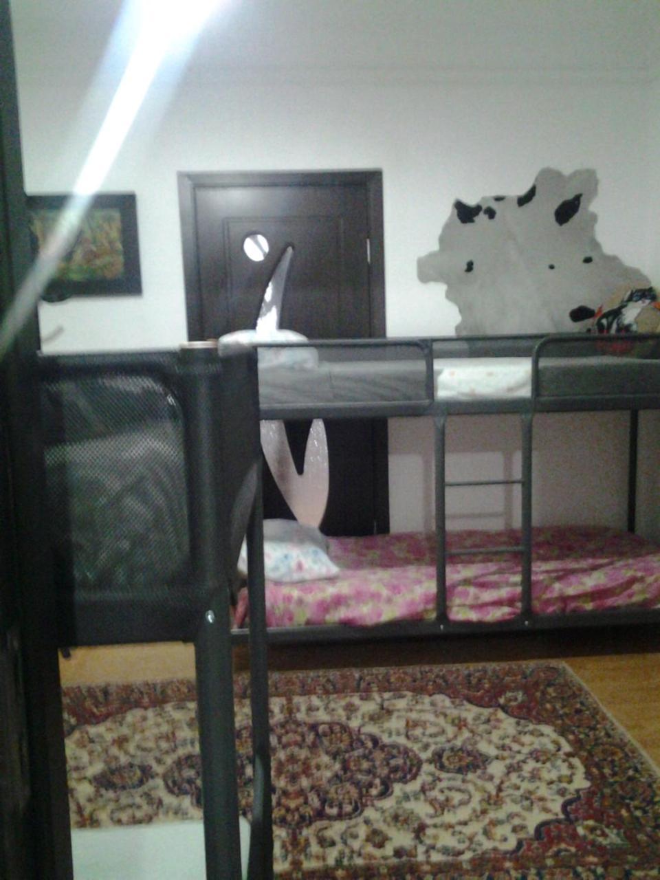 Leyla Hostel Braşov Buitenkant foto