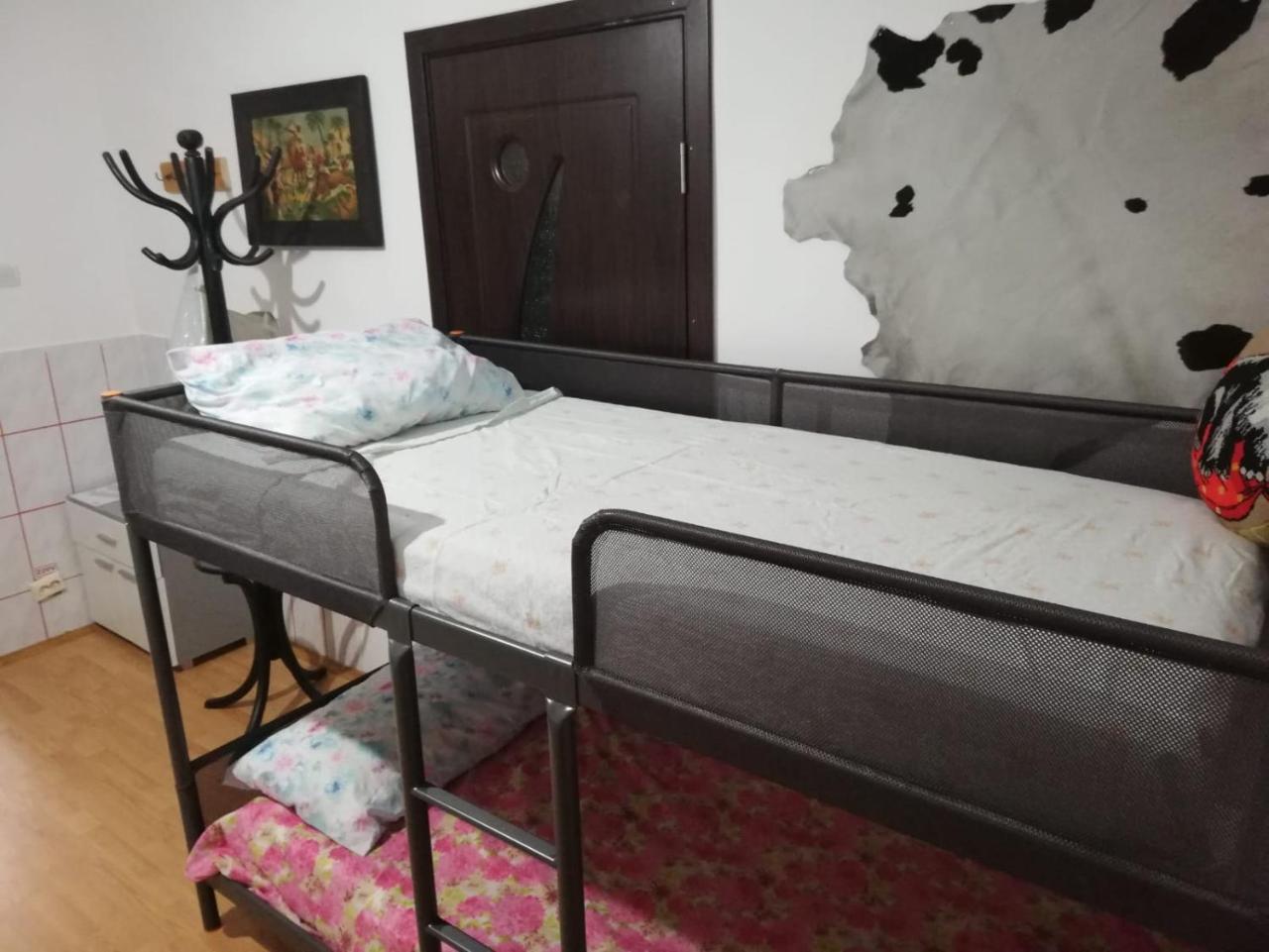Leyla Hostel Braşov Buitenkant foto