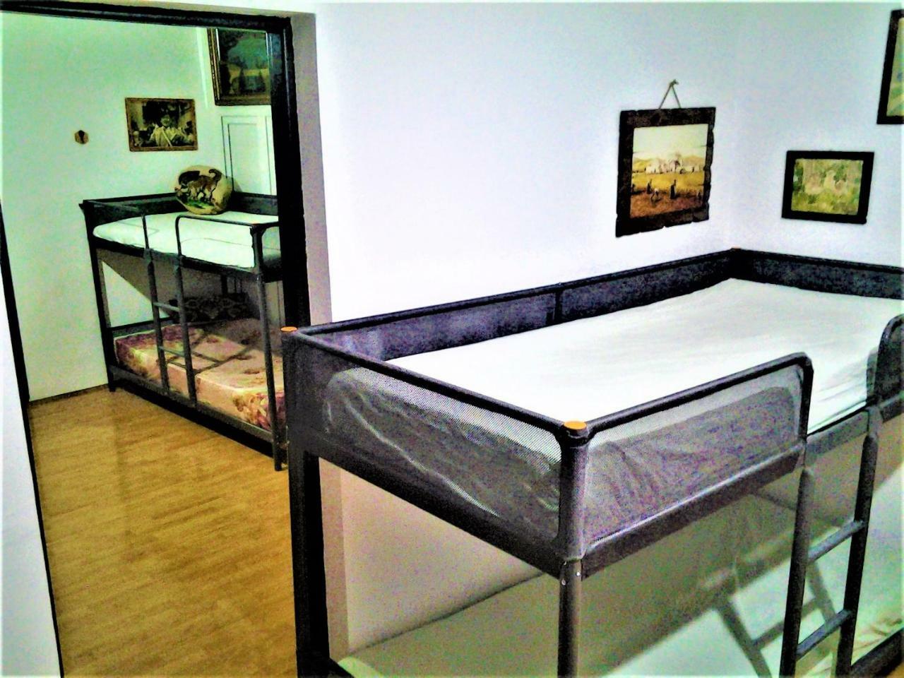Leyla Hostel Braşov Buitenkant foto